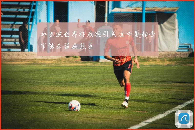 加克波世界杯表现引关注今夏转会市场去留成焦点